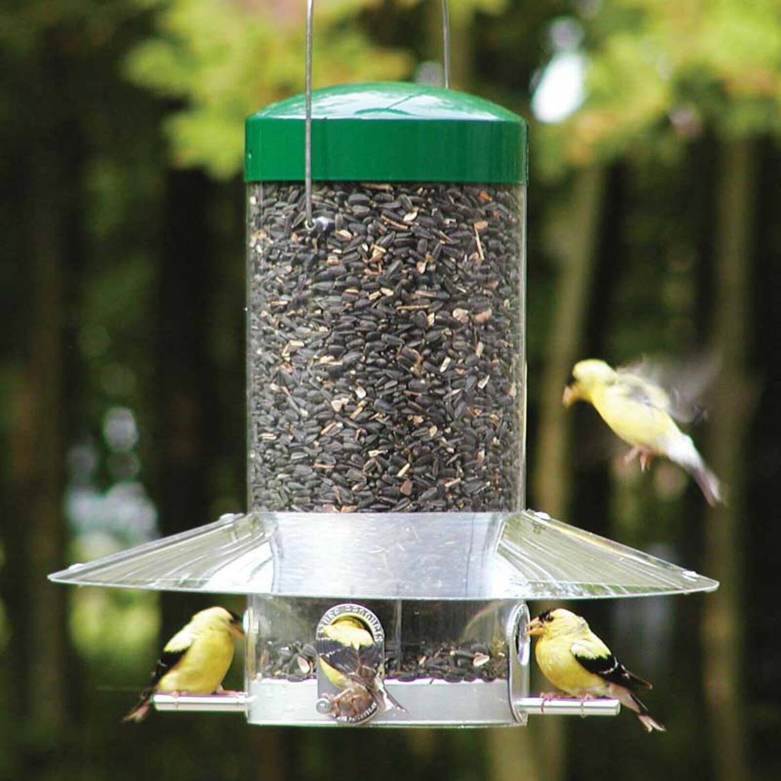 Birds Choice 12" Classic Hanging Bird Feeder with Baffle Weather Guard, Green