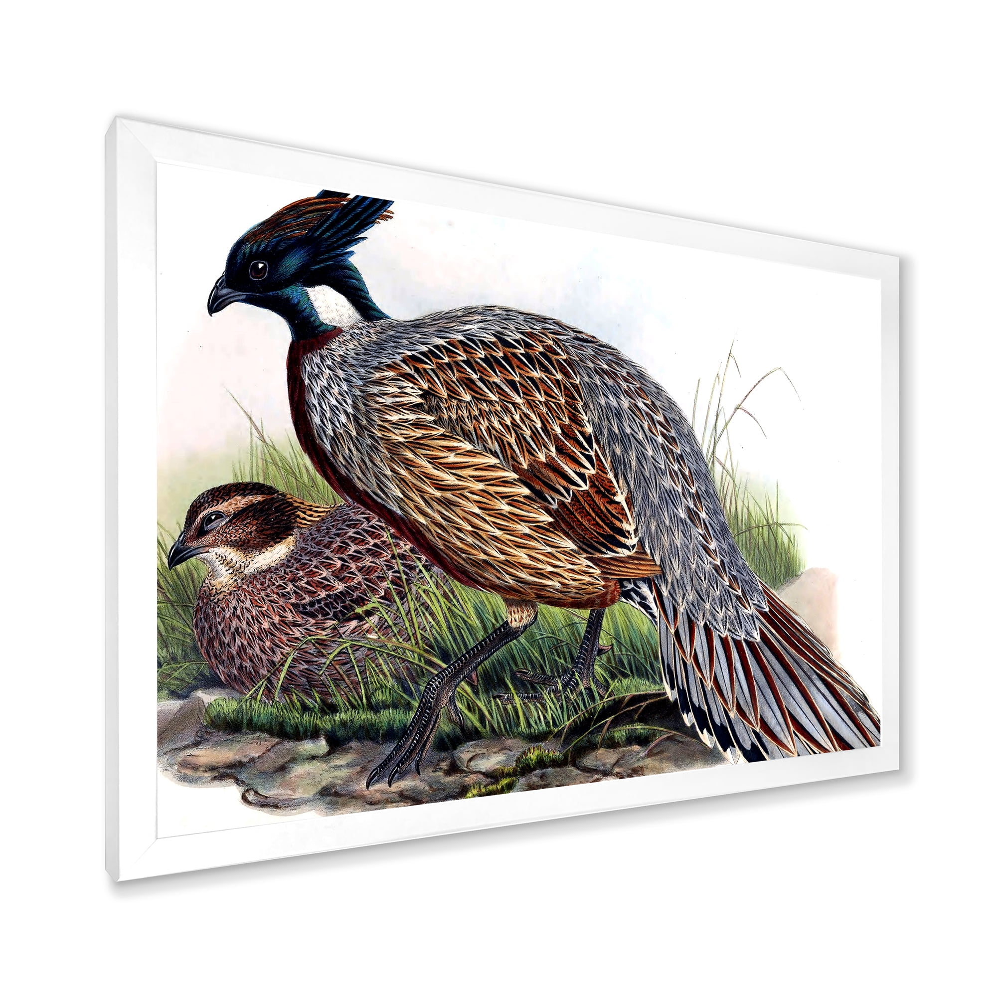 Designart 'Close Up Of Vintage Countryside Birds' Farmhouse Framed Art Print