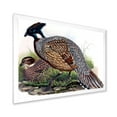 thumbnail image 2 of Designart 'Close Up Of Vintage Countryside Birds' Farmhouse Framed Art Print, 2 of 4