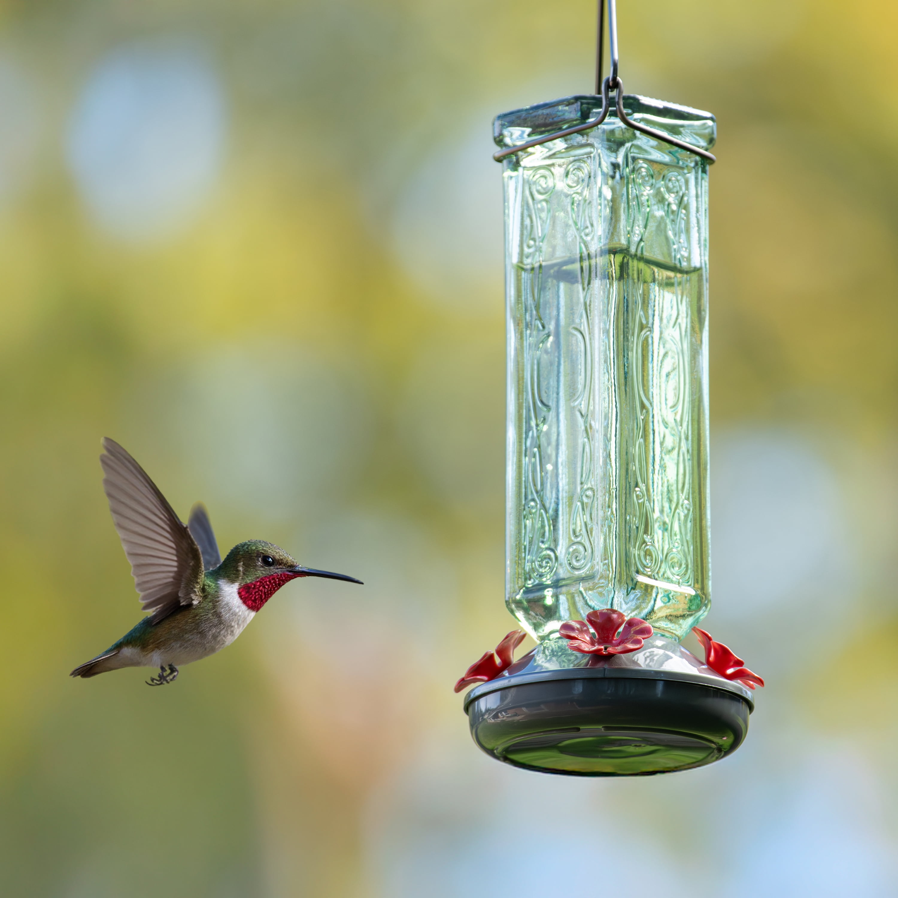 More Birds Kristina Green Vintage Glass Bottle Hummingbird Feeder