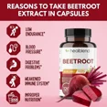 thumbnail image 3 of Healbend Organic Beet Root Capsules 1300mg - Nitric Oxide Booster Beets Support Healthy Blood Pressure, Heart Health, Circulation Superfood - 2-Pack, 3 of 12