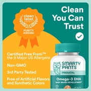 SmartyPants Prenatal Omega 3 DHA Gummies, Prenatal Vitamins for Women to Support Baby Brain Development with Algal Oil, Gluten Free, Clean Label, Orange Lemon Flavor, 120 Gummies (30 Day Supply)