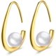 thumbnail image 1 of Pendientes de perlas para mujer, pendientes colgantes de perlas de agua dulce chapados en oro de 14 quilates, aros de gota hipoalergénicos para niñas Vhermosa Aretes, 1 of 6
