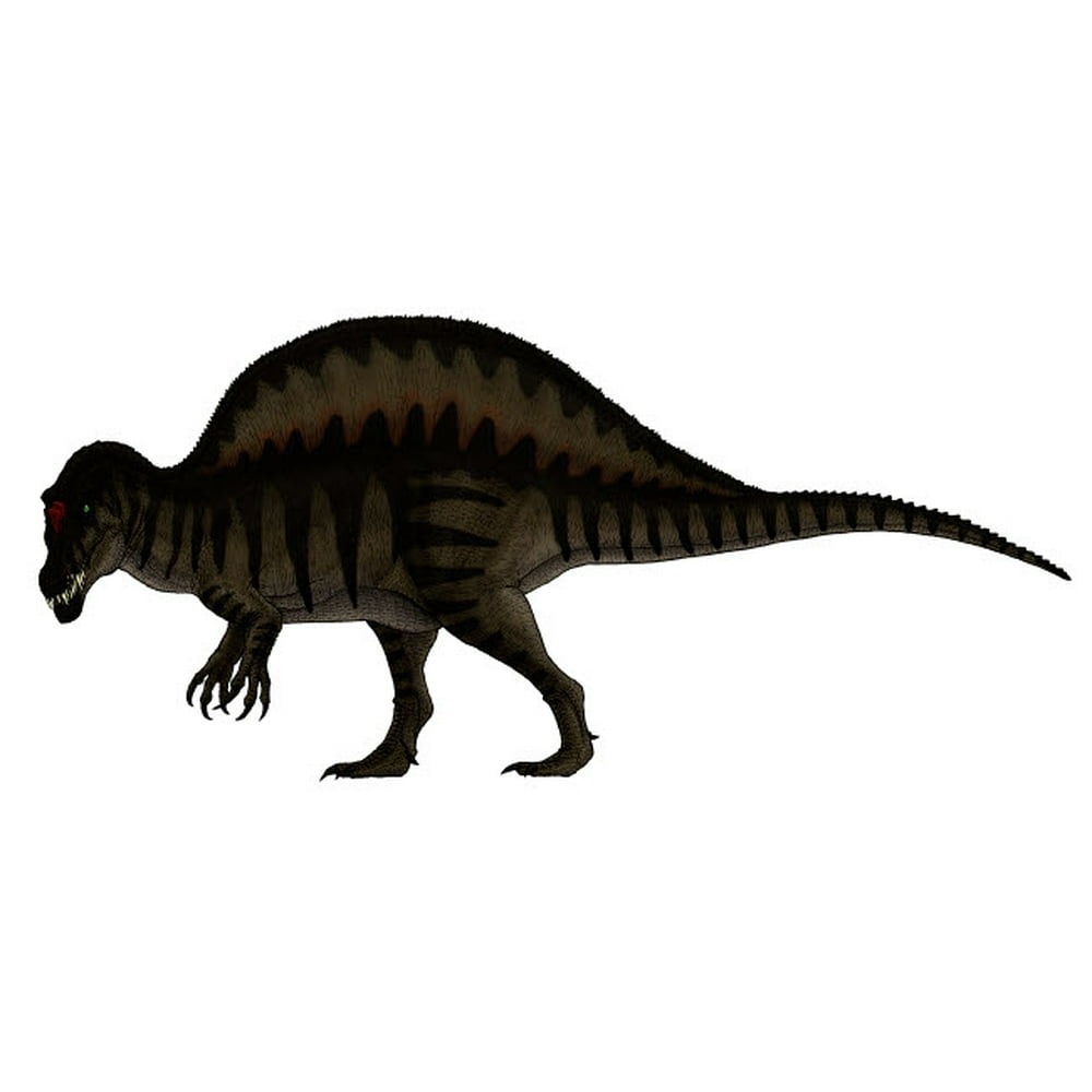 spinosaurus camp cretaceous walmart