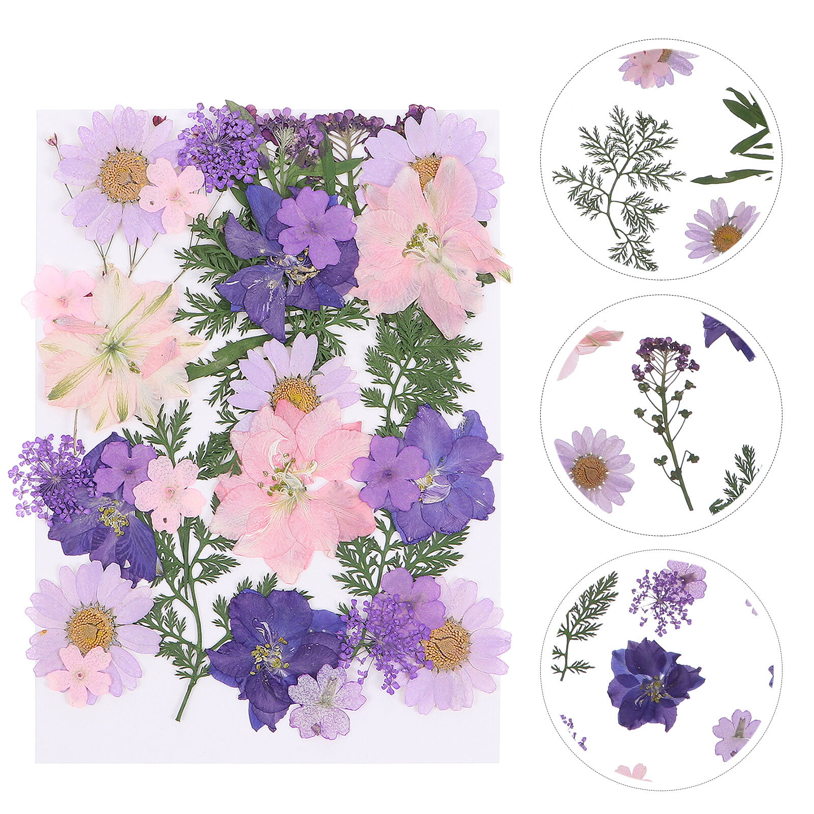 27pcs/set Pressed Flowers Dried Flowers DIY Scrapbooking Flower for Home Wedding, Size: 4x4cm