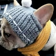 thumbnail image 2 of Pet Supplies Early spring 2025 new dog accessories Korean dog hat fashion personality Warm, 2 of 2