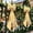 Yellow, variant on Christmas Big Bow Tree Topper Decor Christmas Tree Pendant Giant Large Satin Bow for Hoom Party Backdrop Room Wedding Birthday Christmas 43.3x16.5x12.6in Yellow F