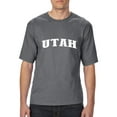 thumbnail image 1 of Artix - Big Men's T-Shirt - Utah, 1 of 5