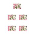 thumbnail image 1 of Naiovety Calcomanía de flores secas, calcomanía de maquillaje para niñas hermosas naturales, decoración artesanal, rellenos artesanales, adornos de Type2 NO2 Naiovety CBP288638, 1 of 6