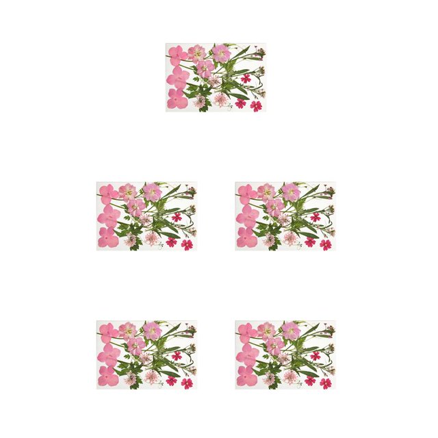 Naiovety Calcomanía de flores secas, calcomanía de maquillaje para niñas hermosas naturales, decoración artesanal, rellenos artesanales, adornos de Type2 NO2 Naiovety CBP288638