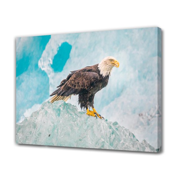 Hawk Bird Sitting On Rock Canvas Poster Bedroom Decor Sports Landscape Office Room Decor Gift,Frame-style,24x36inch(60x90cm)