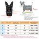 thumbnail image 2 of Mochila transportadora de mascotas Pawaboo Front para gatos y perros, 2 of 7