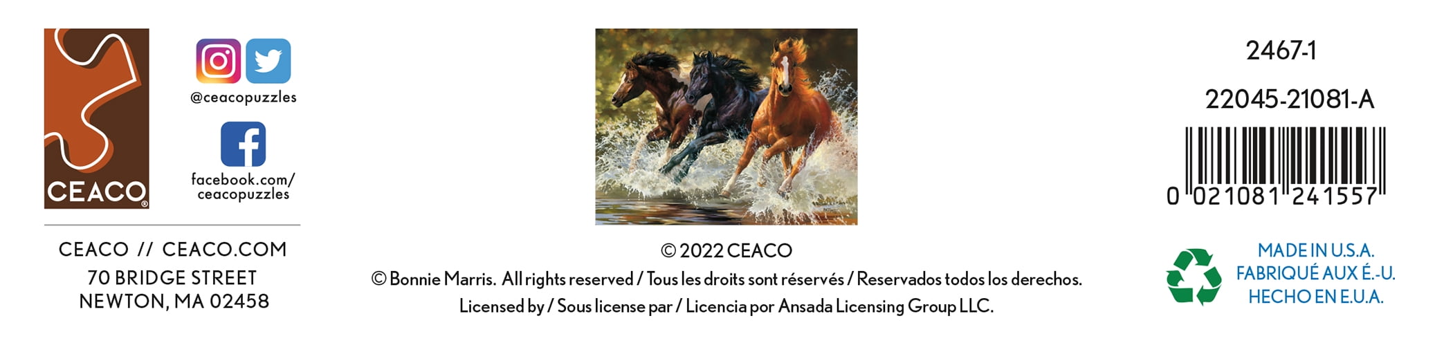 Ceaco 550-Piece Horses Splash Interlocking Jigsaw Puzzle