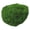 Light Green, variant on Simulation Artificial Handmade DIY Gardening Art Wall Shop Bonsai Decoration, Light Green Moss 30g