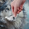 Hotbar Handsome Wolf Jigsaw Puzzle, 1000 Pieces Paper Wood Composite