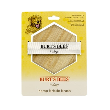 UPC: 0742797801759 | Burts Bees Palm Bristle Dog Brush  Grooming Tools for Pets