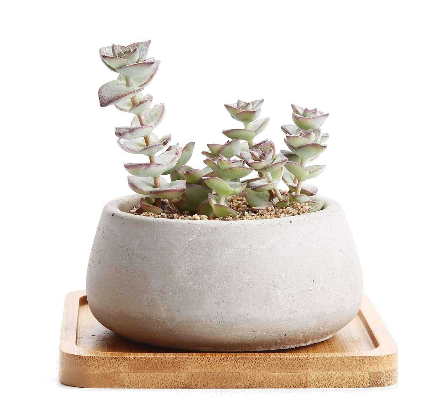 T4U 2.5 Inch Cement Serial Small Round Sucuulent Cactus Plant Pots Flower Pots Planters Containers Window Boxes with Bamboo Tray Grey Pack of 2