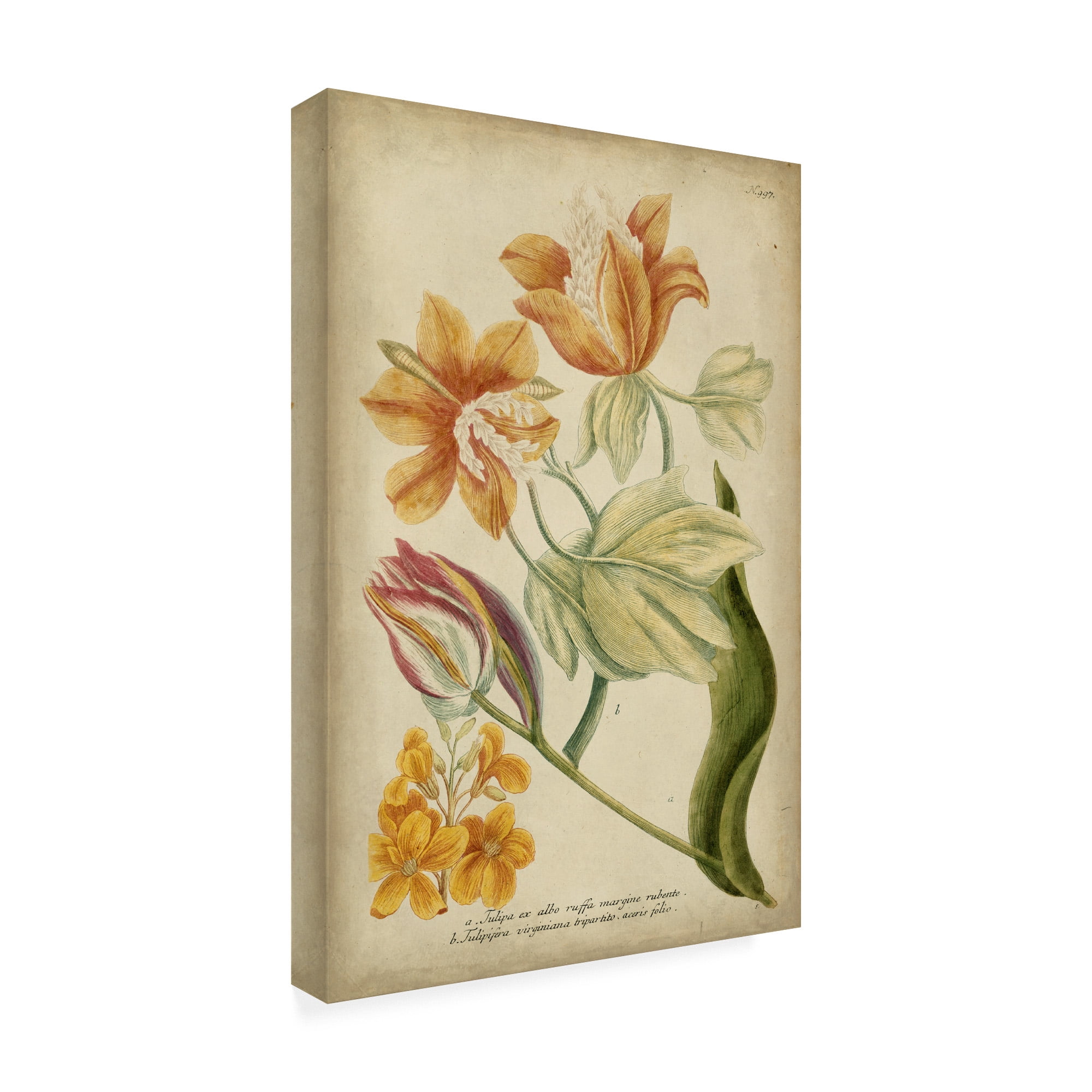 Trademark Fine Art 'Weinman Tropical Floral II' Canvas Art by Weinmann