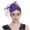 6# Purple, variant on Fascinators Hats 20s 50s Hat Pillbox Hat Cocktail Tea Party Headwear with Veil for Girls and Women Black