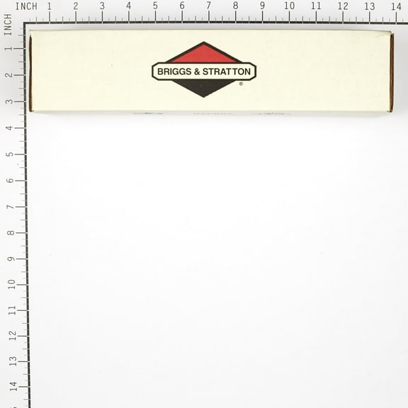 Briggs & Stratton Genuine OEM 821136 Air Filter