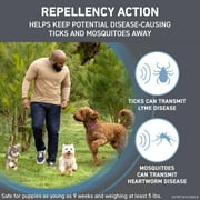 FRONTLINE Shield for Dogs Flea & Tick Treatment, 81-120 lbs, 3 Count