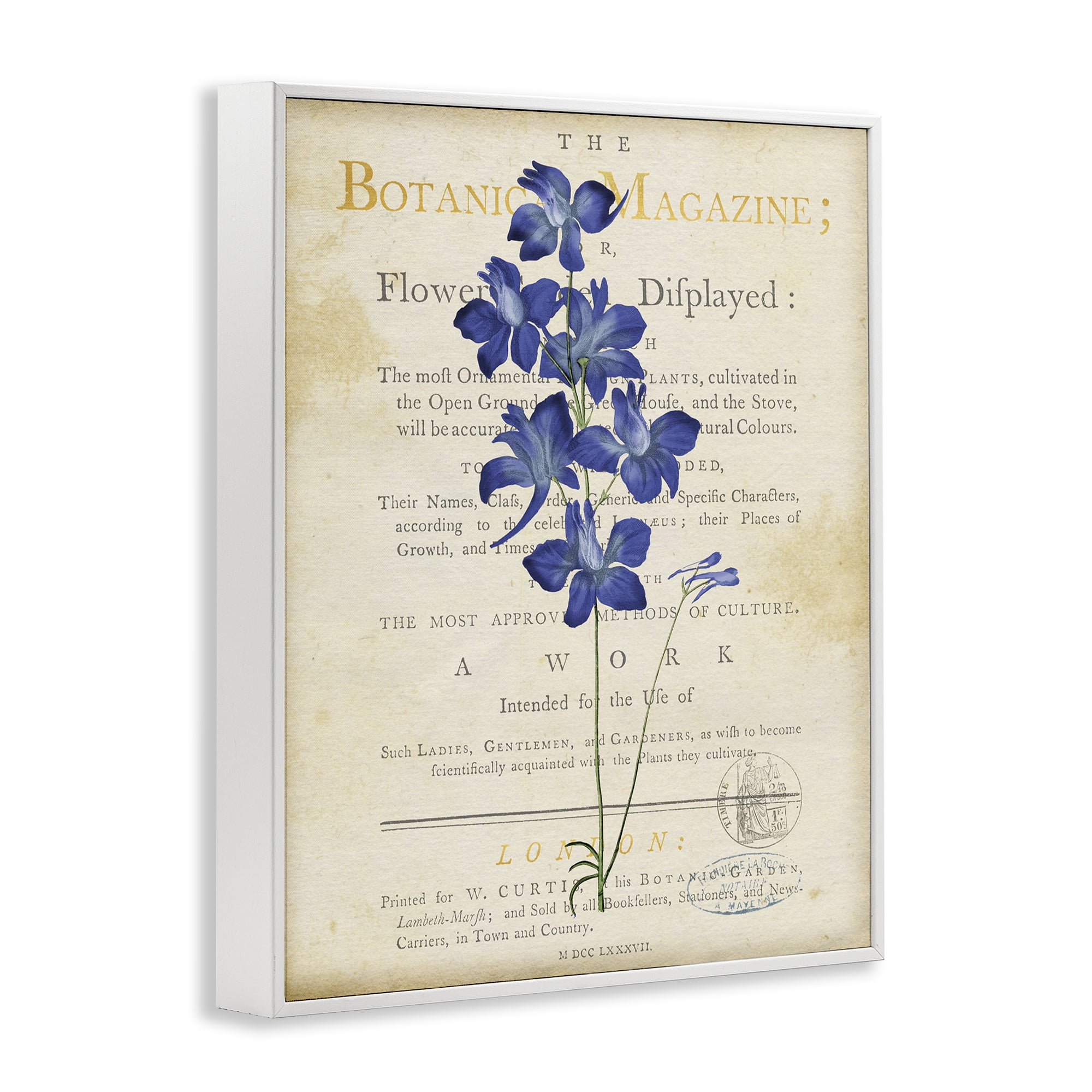 Stupell Industries Natural Botanic Garden Flower White Framed Giclee Art, design by Susan Arnot