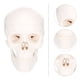 thumbnail image 5 of 1 unid pintura calavera modelo humano calavera modelo desmontable estomatología cráneo, 5 of 5