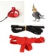 thumbnail image 4 of Arnés Volador Para Pájaros, Cuerda De Tracción, Arnés Para Loros, Correa Resistente A Las Mordeduras, Fácil De Usar Para Keck Para Scarlet Para Adiestramiento Al Aire Libre, 4 of 7