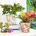 thumbnail image 3 of Vintage Ceramic Planter Set of 3 - Decorative Indoor Outdoor Flower Pots with Drainage Holes - Tuscan Decor Pots 5.5 Ice Crackle Glaze Planters for Home Kitchen Patio and Garden, 3 of 8