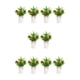 thumbnail image 1 of Plantas artificiales de limón Monstrate 2 uds de plástico para decoración interior o exterior manzanas pequeñas, 1 of 6