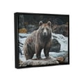 thumbnail image 3 of Stupell Industries Grizzly Bear by Waterfall Animals & Insects Painting Black Floater Framed Art Print Wall Art, 21 x 17, 3 of 9