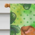 thumbnail image 3 of Carolines Treasures BB9894CHF Sheltie St Patricks Flag Canvas House Size  Large multicolor, 3 of 4