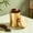 Gold, variant on Medium Portable Aluminum Tea Canister, Airtight Travel Storage Container for Loose Leaf Tea, Empty Tea Jar for Outdoor Use, 5.5x9.2cm, 1 Piece