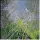 thumbnail image 1 of Brillo de lentejuelas gris, 1 of 4