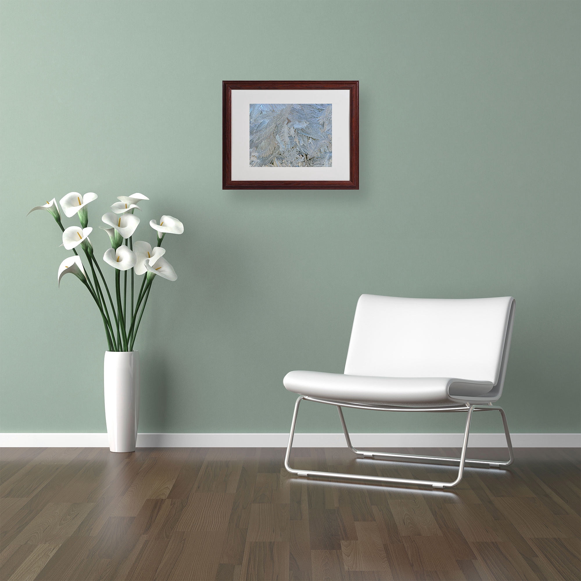 Trademark Fine Art "Frost Pattern #5" by Kurt Shaffer, Wood Frame