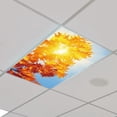 thumbnail image 1 of Funda magnética fluorescente LAMPSHADE Outus de 60 x 120 cm, 1 of 7