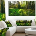 thumbnail image 1 of Green Forest Sunset Panorama - Landscape Artwork Canvas, 1 of 1