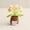 Gradient Yellow, variant on Handmade Crochet Potted Plant, 6 Heads Gradient Pink Forget Me Not, 1 Piece Emotional Support Knitted Doll Decor, for Home Desk Office Decor Car Ornament Gift