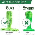 thumbnail image 5 of Dog Toothbrush Dog Toy Chew Toy Rubber Teeth Cleaning Dog Toothbrush Stick Durable for Small Dogs, 5 of 5