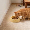 thumbnail image 4 of Bcylexb Solid Color Cat Bowls and Large-Diameter Dog Food Bowls, Anti-Tip, Easy-Clean, Neck-Support Pet Bowls for Puppies and Kittens, Yellow, 4 of 6