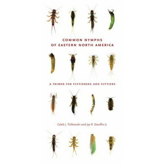 Pre-Owned Common Nymphs of Eastern North America : A Primer for Flyfishers and Flytiers (Paperback) 9780271204505