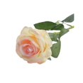 thumbnail image 1 of 20 Pieces/Kit Fake Roses Portable Solid Color Simulation Household Wedding Party Artificial Flower Branch Photography Prop, 1 of 10