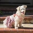 thumbnail image 4 of Vibrant Life Pink Leopard Tiered Pull Over Skirt Dress for Dogs, Size Small, 4 of 6
