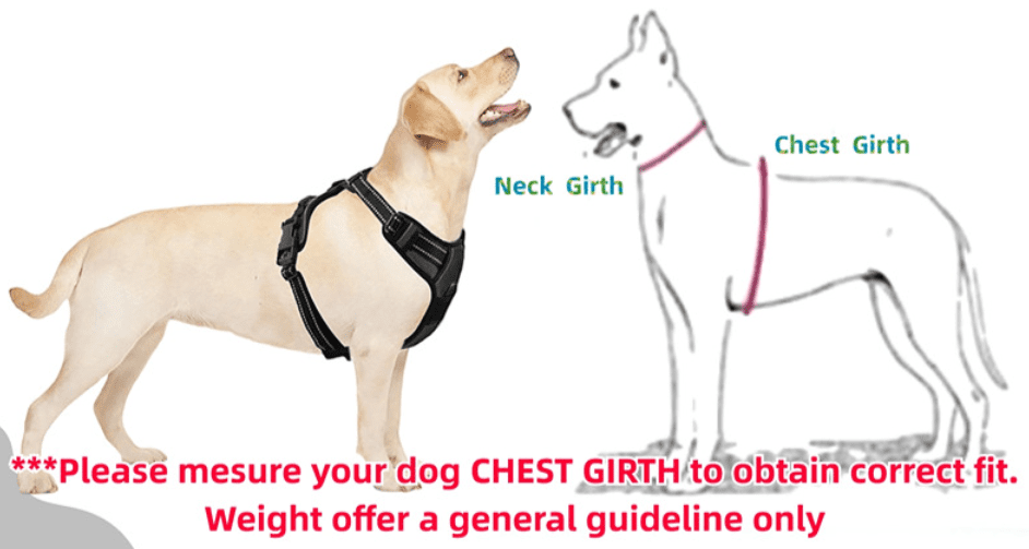 Dog Harness and Leash Set, No Pull Vest Harness, Reflective Adjustable Soft Padded Pet Harness with Handle for Small to Large Dogs
