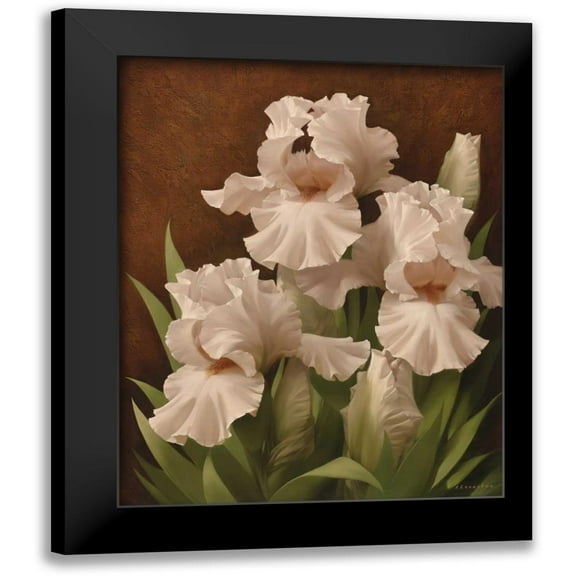 Levashov, Igor 12x14 Black Modern Framed Museum Art Print Titled - Iris Illumination II