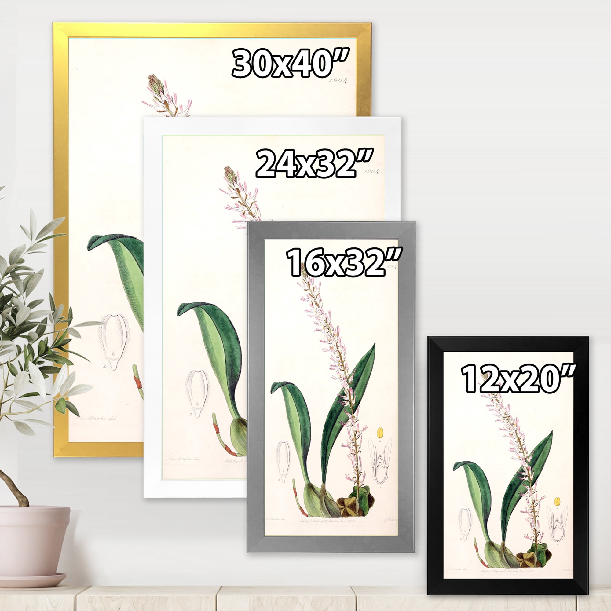 Designart 'Ancient London Plants V' Traditional Framed Art Print