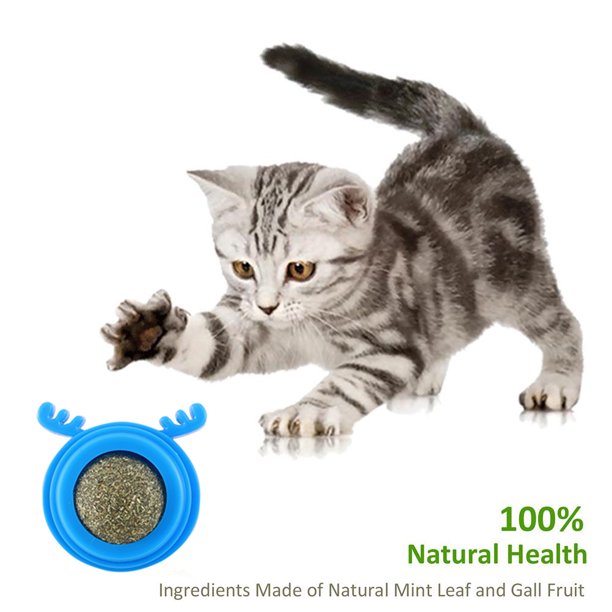 Juguete de bolas de hierba gatera de plástico para gatos Suministros para mascotas con forma de cabeza de perro reemplazable (azul) Ndcxsfigh Para estrenar