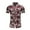Wine, variant on Palato Mens T Shirts,Men Hawaiian Short Sleeve Beach Stand-up Collar Shirt Printed Summer Casual Button Down Shirts
