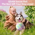 thumbnail image 2 of Balón de fútbol para perros QDAN extra grande y duradero para perros de más de 80 libras, 2 of 7