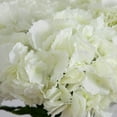 thumbnail image 6 of Nearly Natural Hydrangea Artificial Floral Arrangement - 20" - White, 6 of 7